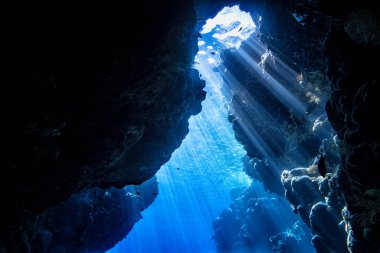 Doğanın arka planında mavi bir denizin sualtı fotoğrafı