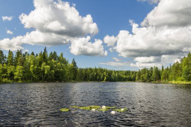 Kuş uçmaz kervan geçmez bir göl manzarası. Sadece yeşil ormanla çevrili