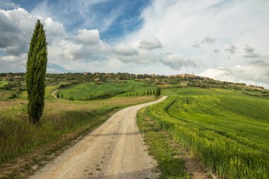 Toskana, İtalya. Yuvarlanan tepeler, muhteşem gökyüzü olan sonsuz tarlalar. Güzel bölge,