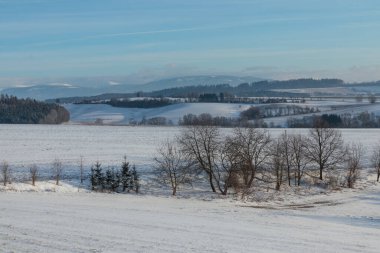 Kış manzarası doğada karla kaplı.
