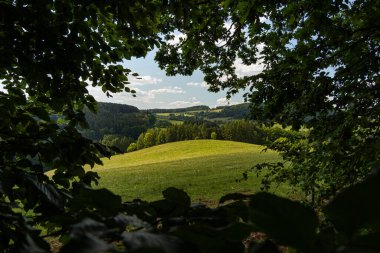 Ormanın dışında gizli bir gözcü, arka planda ormanlar ve tepeler olan tepelik bir çayıra bakıyor..