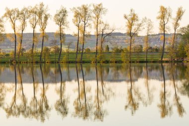 Kırsalda ilkbahar. Uzun yeşil alanlar, uçsuz bucaksız ağaçlar, gölü olan güzel mavi gökyüzü.