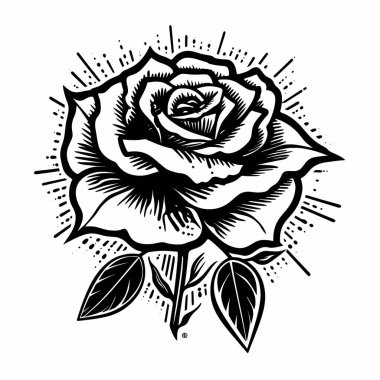 Beyaz arkaplanda izole edilmiş Siyah Güller