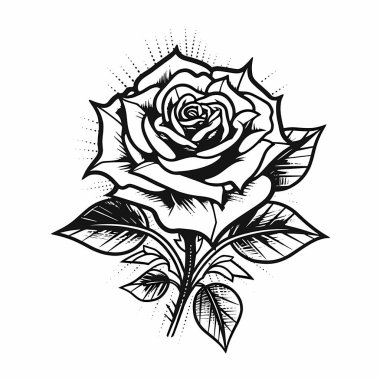 Beyaz arkaplanda izole edilmiş Siyah Güller