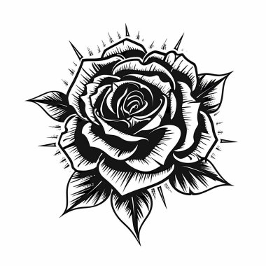 Beyaz arkaplanda izole edilmiş Siyah Güller