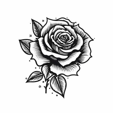 Beyaz arkaplanda izole edilmiş Siyah Güller