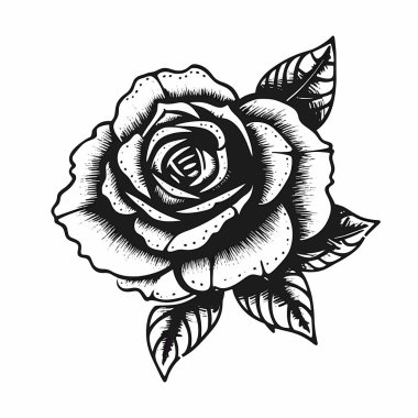 Beyaz arkaplanda izole edilmiş Siyah Güller