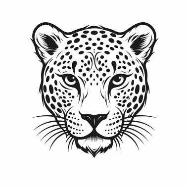 Çita baş tasarımı çizimi