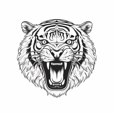 Kükreyen kaplan başı illüstrasyonu beyazın üstünde siyah