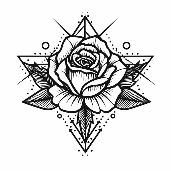 Black Roses Isolated on white Background