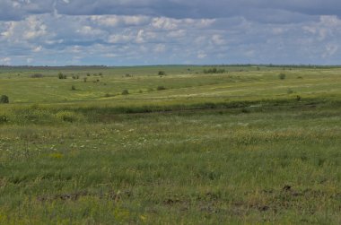 Bahar bozkırlarının sonsuz genişlikleri. Bozkır ovasından uzak ufuklar. Çiçekli çimenli tarlanın üstündeki gökyüzü. Resimli kırsal alan. Doğal halı. Odessa bölgesi, Ukrayna.