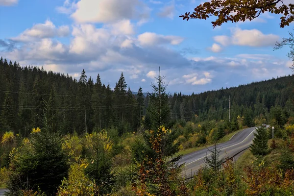 Herbstliche Berglandschaft Vergilbte Und Gerötete Herbstbäume Kombiniert Mit Grünen Nadeln — Stockfoto