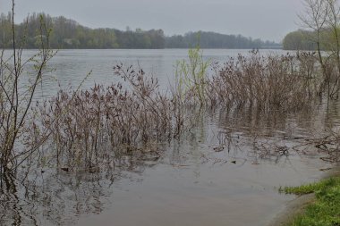 Dinyeper 'in yüksek suları şiddetli yağmurlar ve çok miktarda karın erimesinden sonra. Nehir kıyılarından taştı ve Kyiv 'deki park alanını sel bastı. Doğal afet.