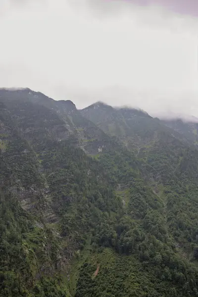 Zalesněné Horské Svahy Pohoří Siluetami Jehličnatých Stromů Zahalených Mlze Mystická — Stock fotografie