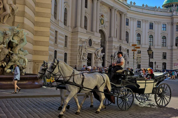 Viena Austria Junio 2023 Carruaje Tirado Por Caballos Con Turistas — Foto de Stock