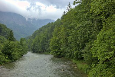 Avusturya Alpleri 'nin Salzkammergut bölgesinde dağlardan akan tren nehri. Yazın nehir ve dağlarla kaplı güzel sisli ve bulutlu bir manzara. Doğal renkli arkaplan.