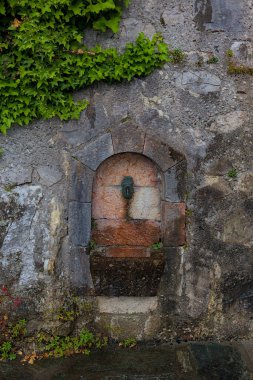 Avusturya Alplerinde eski bir içme suyu çeşmesinin güzelliği. Yeşil sarmaşıklarla kaplı taş bir duvardaki oyuktan su akar. Duvar büyük bloklardan inşa edilmiştir..