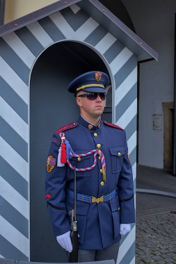 Prag, Çek Cumhuriyeti 6 Ekim 2023: Prag Şatosu güvenlik görevlisi konut girişinin önünde hareketsiz duruyor. Çek Cumhuriyeti 'nde güvenlik ve gelenekler.