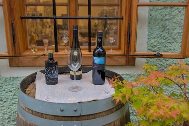 Hallstatt, Avusturya - 1 Temmuz 2023: Ünlü eski Hallstatt kasabası, Salzkammergut, Yukarı Avusturya. Orijinal hediyelik eşya dükkanları çok sayıda turist için harika ürünler sunuyor.