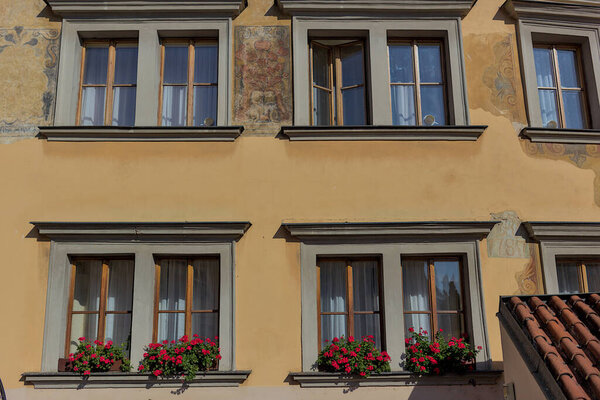 Delightful floral arrangement in front of the windows in the historical center of Prague, Czech Republic. National architecture. Historical concept of authenticity. Green tourism.