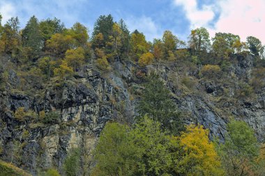 Kayalık kayalık yüzey, koyu, pürüzlü kayalardan daha açık alanlara uzanan dokulardan oluşan bir duvar halısı sergiliyor. Ağaçlar dik yamaçlara inatla tutunur..