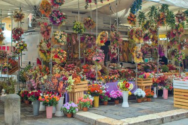 Rengarenk çiçek ve çelenkler Padua, İtalya 'da büyüleyici bir market tezgahını süslüyor. Tribünleri her renkten buketler dolduruyor. Hava güzel ve piyasa güzelliklerle dolu..