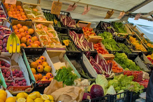 Padua, İtalya - 17 Ekim 2024: Renkli bir market taze meyve ve sebzelerle dolup taşıyor. Hava narenciye ve yeşillik kokusuyla dolu. İnsanlar en iyi ürünü seçmek için toplanır..