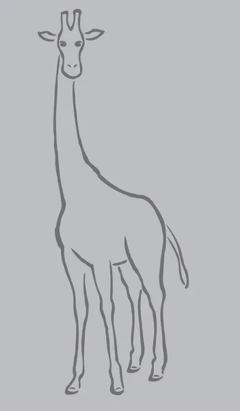 Návrh Vektorové Ilustrace Žirafy — Stockový vektor
