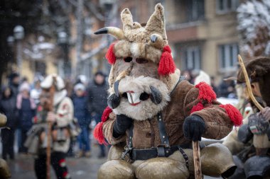 Breznik, Bulgaristan - 20 Ocak 2024: Bulgaristan 'ın Breznik kentinde maskeli balo festivali. Kukeri adındaki maskeli insanlar kötü ruhları korkutmak için dans edip gösteri yapıyorlar. Fotoğraf 20 Ocak 2024 'te çekildi.