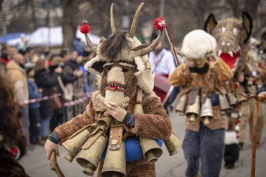 Bulgaristan 'ın Kyustendil kenti - 10 Şubat 2024: Bulgaristan' ın Kyustendil kentinde düzenlenen maskeli balo festivalinin birincisi. Geleneksel Kuker deri takım elbiseli adamlar pirinç çanlar eşliğinde dans ediyor ve doğurganlık ve sağlık ayini yapıyorlar..