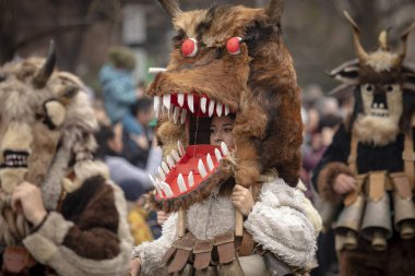 Bulgaristan 'ın Kyustendil kenti - 10 Şubat 2024: Bulgaristan' ın Kyustendil kentinde düzenlenen maskeli balo festivalinin birincisi. Bulgar halk kostüm giymiş kadınlar bakır çanlar eşliğinde dans ediyor ve doğurganlık ve sağlık ayini yapıyorlar.