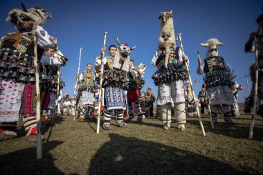 Elin Pelin, Bulgaristan - 17 Şubat 2024: Elin Pelin Bulgaristan 'da düzenlenen 8. Maskeli Balo Festivali. Bakır zilli kuker kostümlü adamlar doğurganlık ve sağlık için bir ritüel gerçekleştiriyorlar..