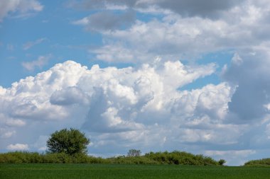 Beyaz bulutlar mavi gökyüzü. Mavi gökyüzünde beyaz bulutlar görülür