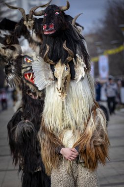 Pernik, Bulgaristan - 24 Ocak 2025 Pernik Bulgaristan 'da düzenlenen 1. Yıldönümü Maskeli Balosu. Maskeli insanlar Kukeri dansı derler ve kötü ruhları korkutmak için bir ayin yaparlar..