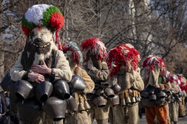 Bulgaristan 'ın Kyustendil kenti - 15 Şubat 2025: Geleneksel Kukeri deri kostümlü erkekler pirinç çan dansları yapıyor ve doğurganlık ve sağlık için bir ayin düzenliyorlar.
