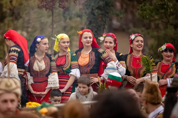 Kyustendil, Bulgaristan 15 Şubat 2025: 