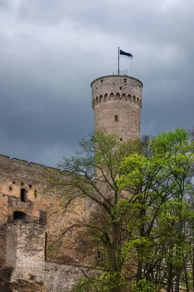 Tallinn Deki Uzun Hermann Kulesi Izle Kale Bulutlar Estonya Bahar — Stok fotoğraf