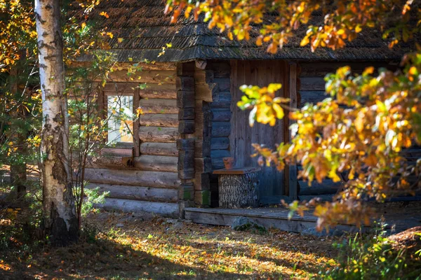Kis Régi Ház Őszi Erdőben Vonzás Törvénye Észt Építészet Szabadtéri — Stock Fotó