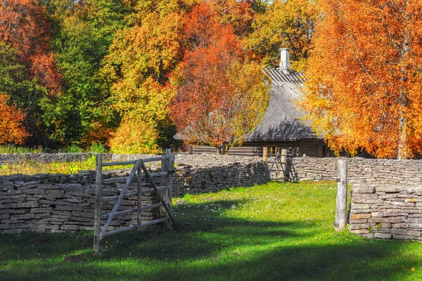 Ворота Старого Эстонского Хозяйства Ферма Золотая Осень Музей Открытым Небом — стоковое фото