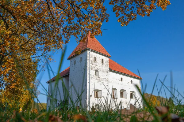 秋の時点でヨーロッパの古代の歴史的建造物 パーツェ城はパーツェ川の上流にあるアイダ ヴィルマーに位置している 17世紀からの強力な防御城塔を追跡します エストニア — ストック写真
