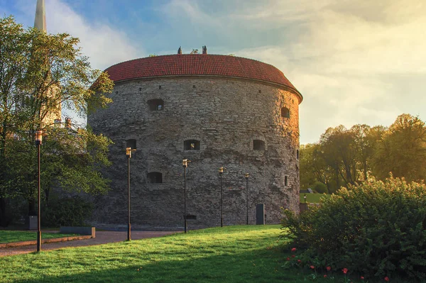タリンの最も有名なランドマークの一つ ファットマーガレットと呼ばれる古い塔 海事博物館 空の通り エストニアだ — ストック写真