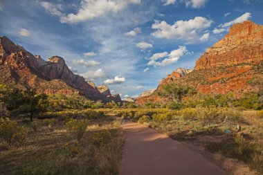 Utah Zion Ulusal Parkı 'ndaki kolay ve ulaşılabilir Parus yolu boyunca nefes alıyor.