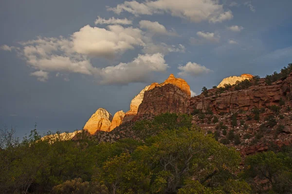 Breath Taking Scenery Easy Accessible Parus Trail Zion National Park — Stock Photo, Image