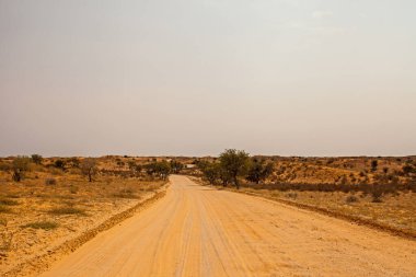 Kgalagadi Transfrontier Parkı 'nda ıssız bir çöl yolu.