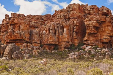 Interesting rock formations at Truitjieskraal in the Cederberg Wilderniss Area, Western Cape, South Africa