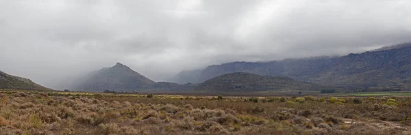 セダーバーグ ウィルダニス地域 西ケープ州 南アフリカ共和国での雨の朝の風景 — ストック写真