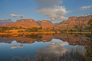 Kraliyet Natal Ulusal Parkı 'ndaki Drakensberg Gölü' ndeki dağların ve ağaçların sabahın erken saatlerindeki yansımaları. KwaZulu-Natal. Güney Afrika