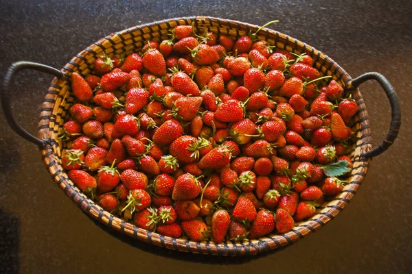 Basket Freshly Picked Strawberries — Stock Photo, Image