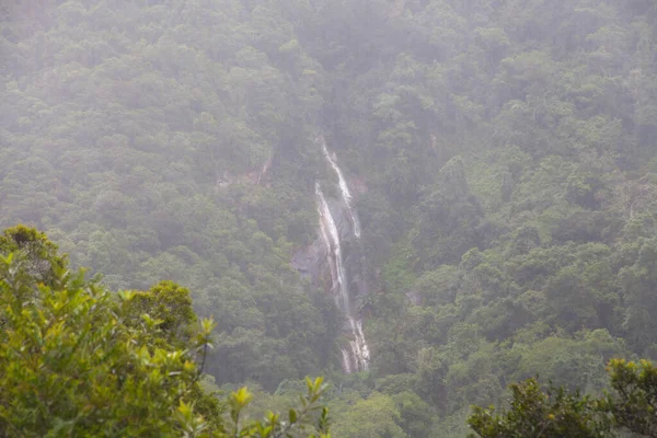 White waterfall rushing down the mountainside in Magoebaskloof forest, South Africa
