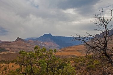 Drakensberg Güney Afrika 'daki Kraliyet Natal Ulusal Parkı' ndaki yürüyüş parkında görülen amfitiyatro düzeni.